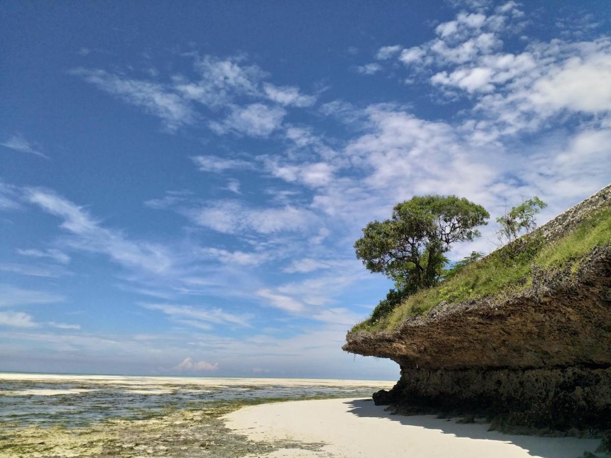 Beachfront Villa Ladha Ya Zanzibar Jambiani  Extérieur photo